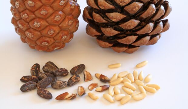 Pine nuts will help strengthen an erection and improve a man's mood. 